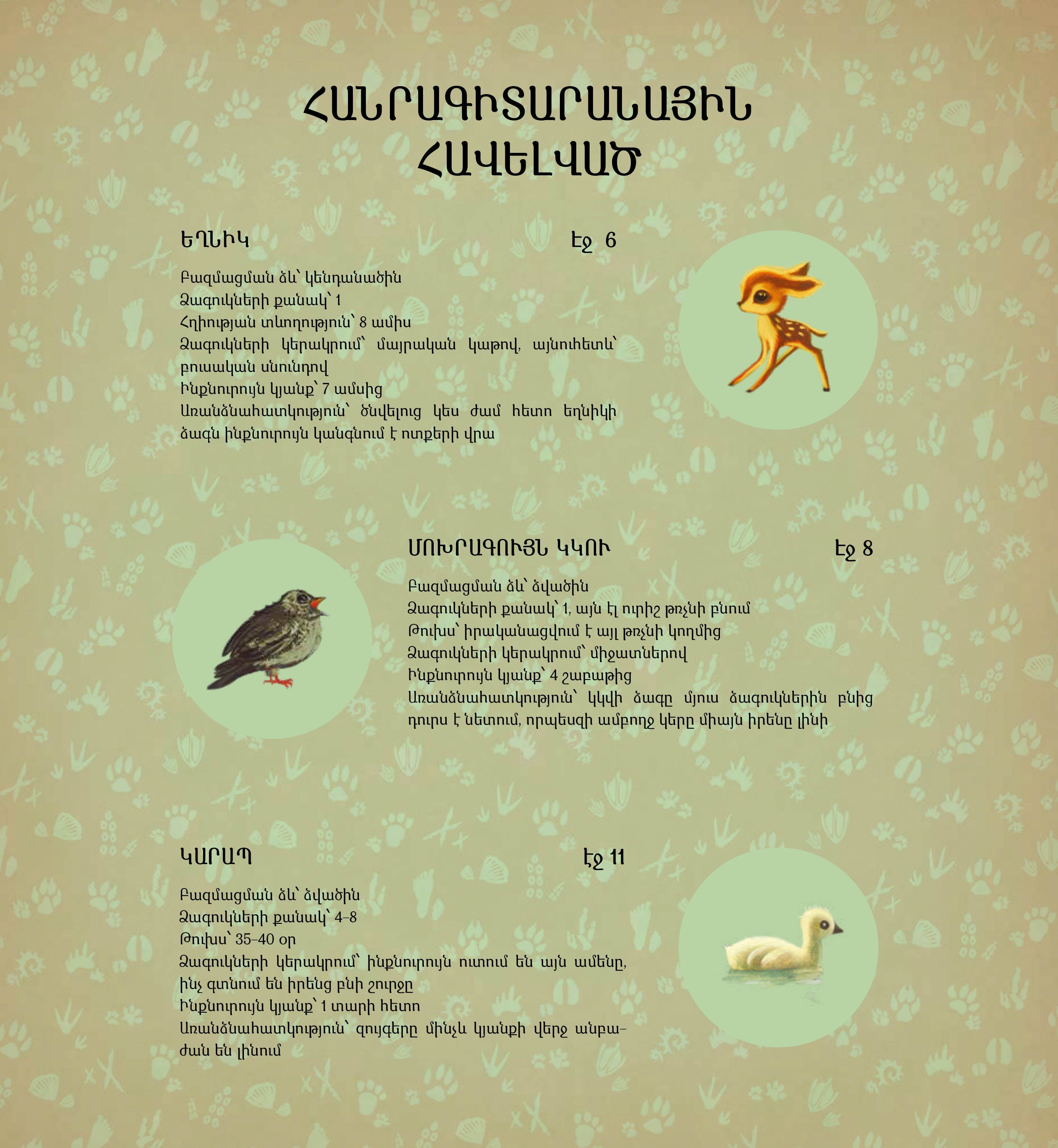 Sebastien Perez - The Best Mom in The World