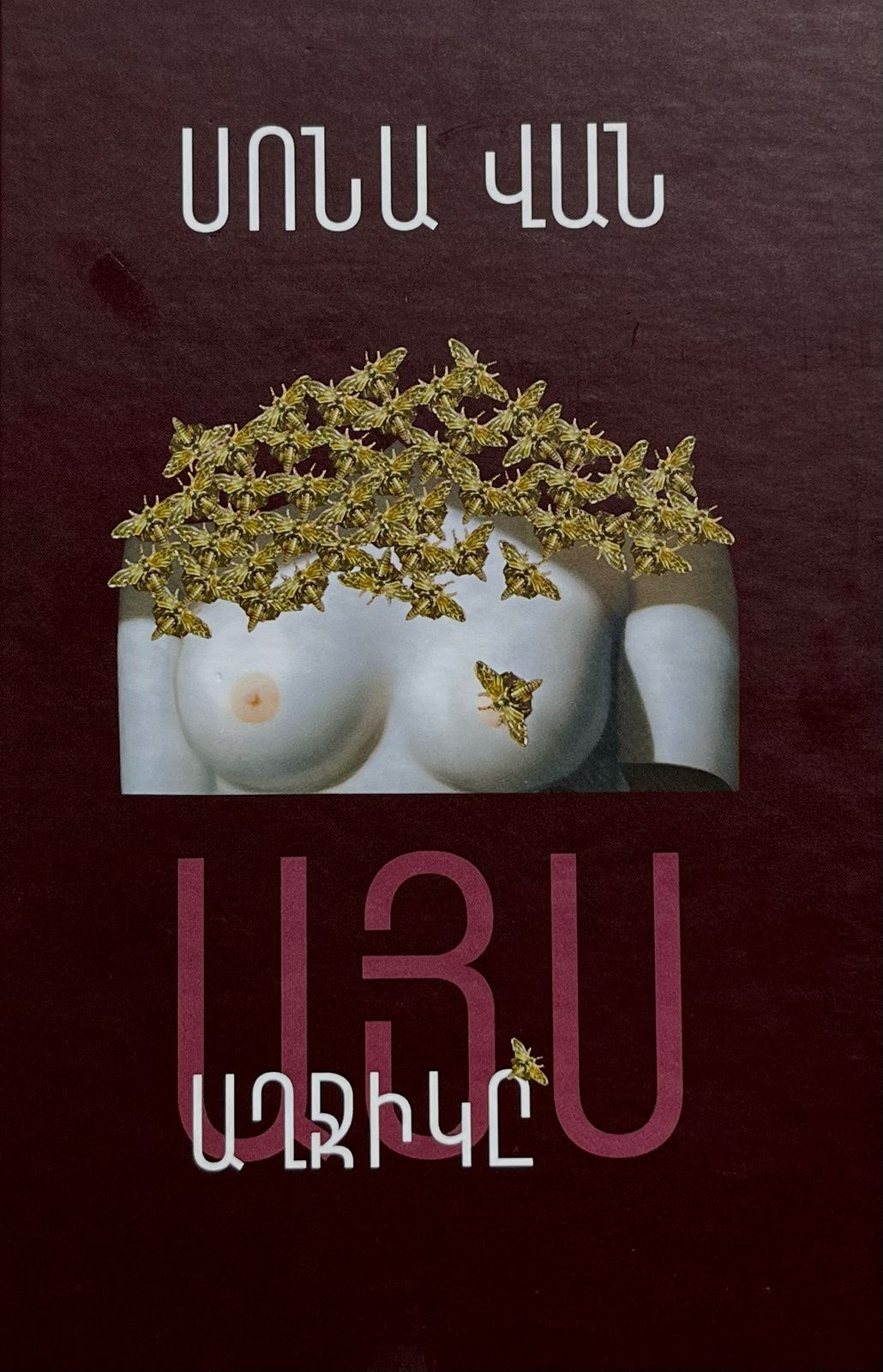 Sona Van - This Girl