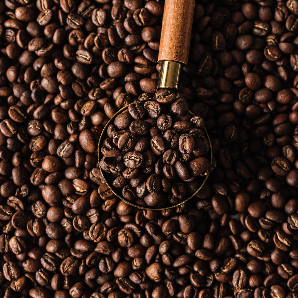 Conquistador - Organic