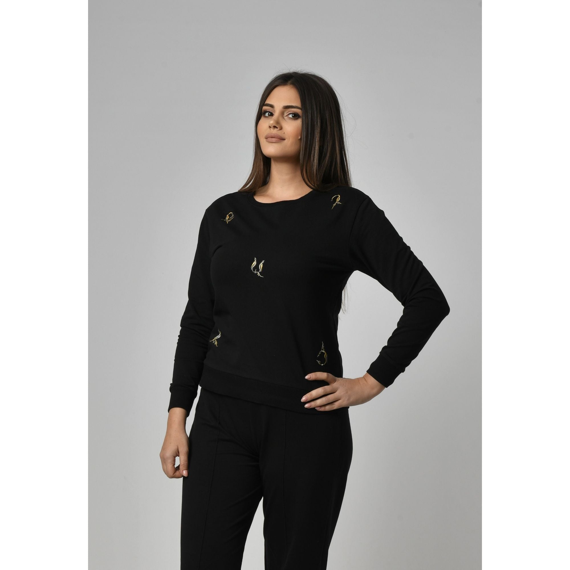 AG Sisters Armenian Letters Sweatshirt and Pants set