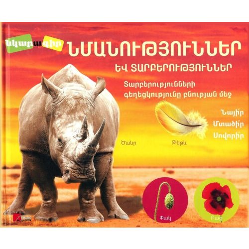 Similarities And Differences