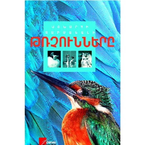 Amazing Birds Of The World