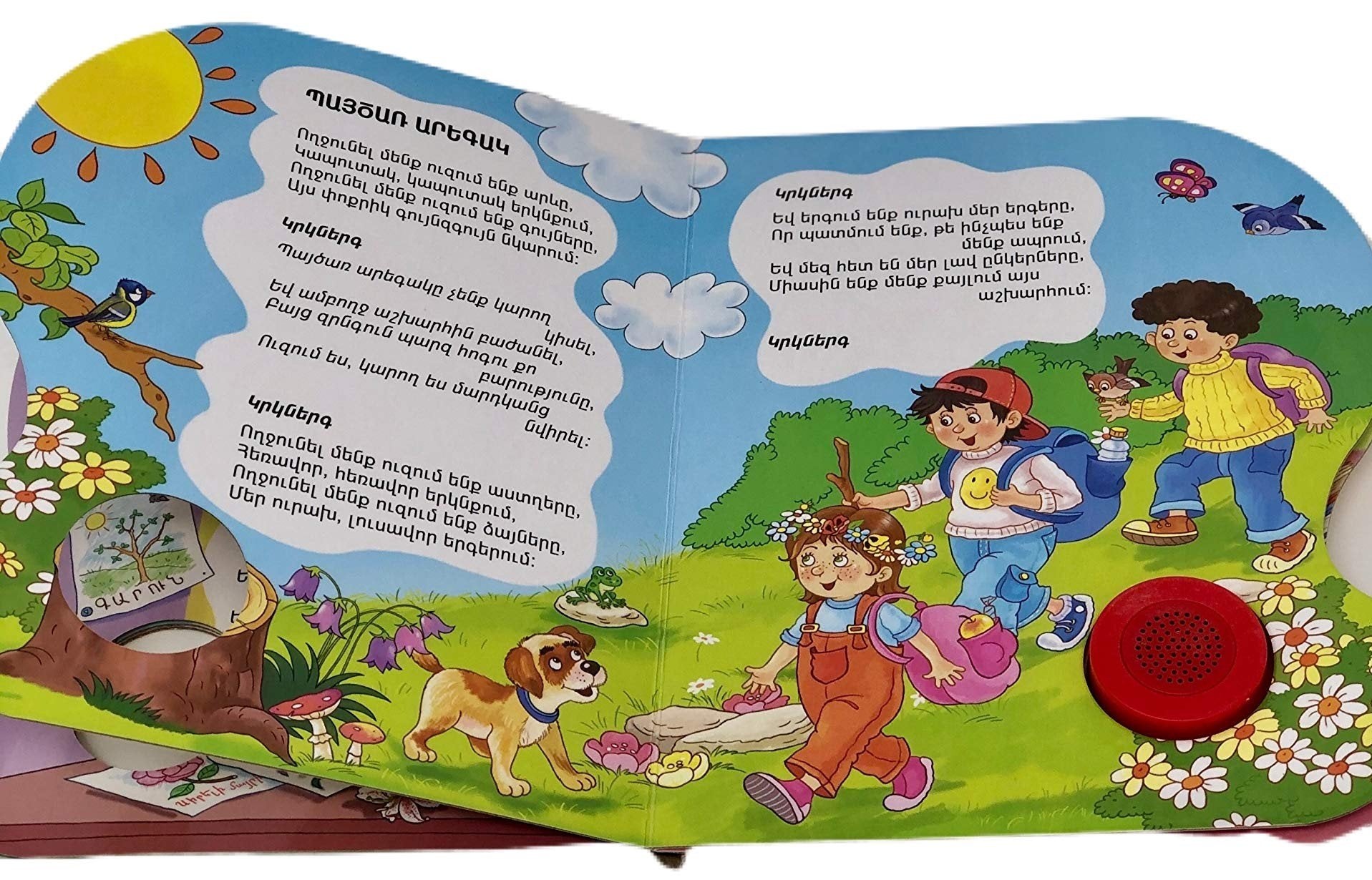 But Today is My Birthday ( 1 Button Module )