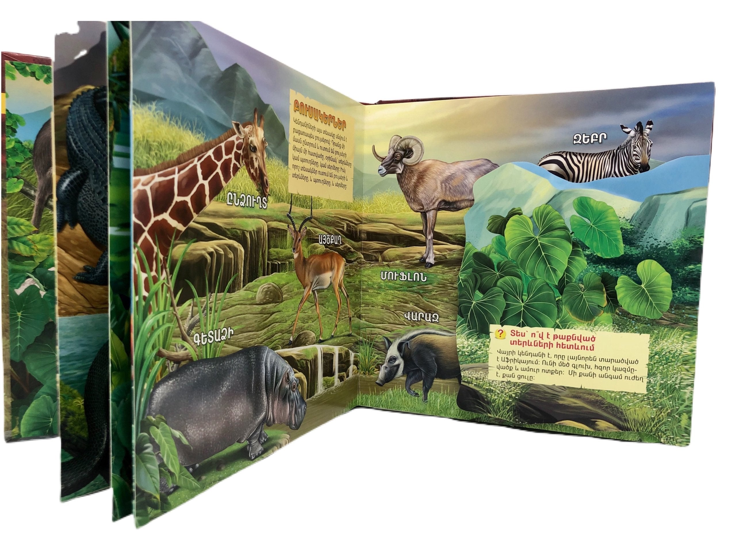 Wild Animals ( Book with Sounds )