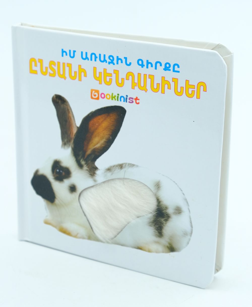 My First Book - Domestic Animals