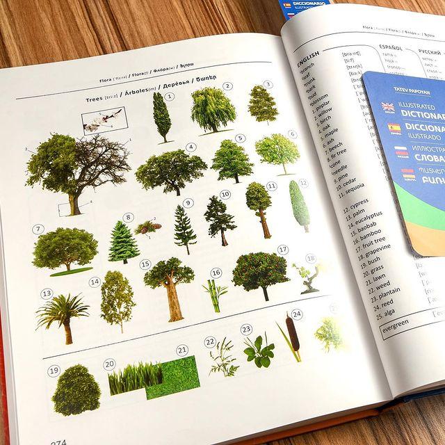 Illustrated Dictionary