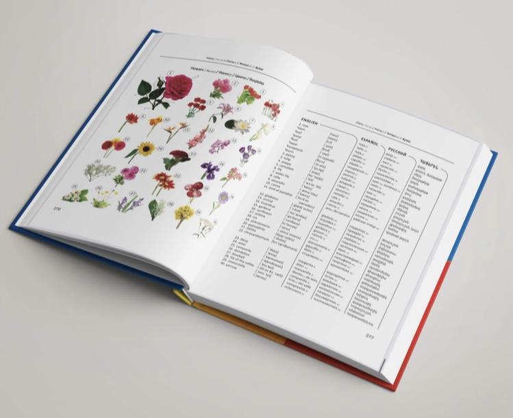 Illustrated Dictionary