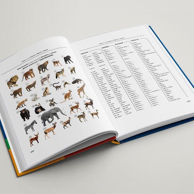 Illustrated Dictionary