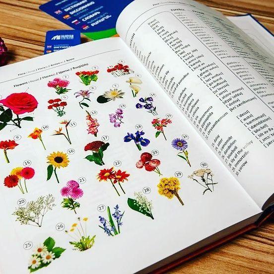 Illustrated Dictionary