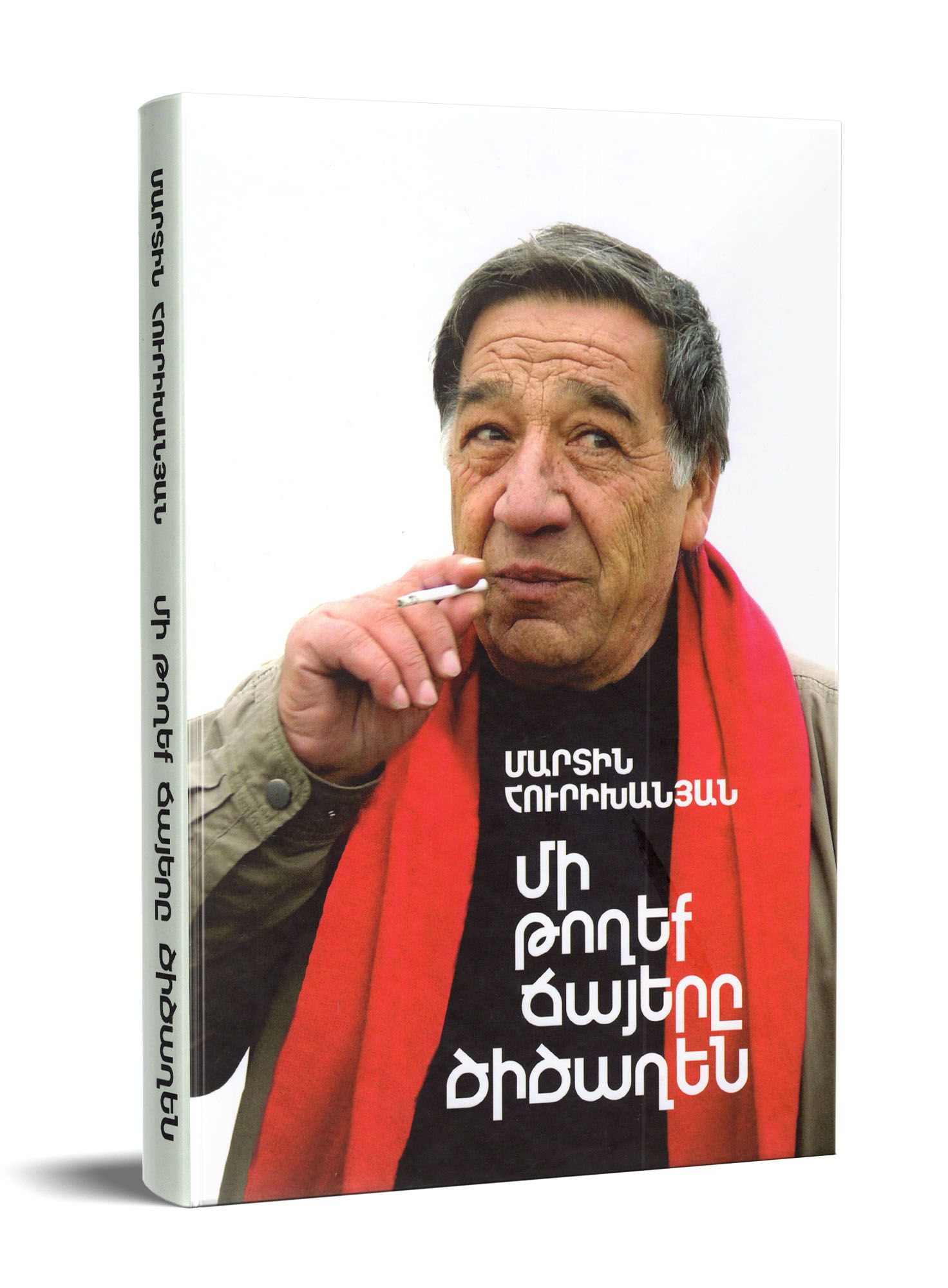 Martin Hurikhanyan - Don't Let The Seagulls Laugh