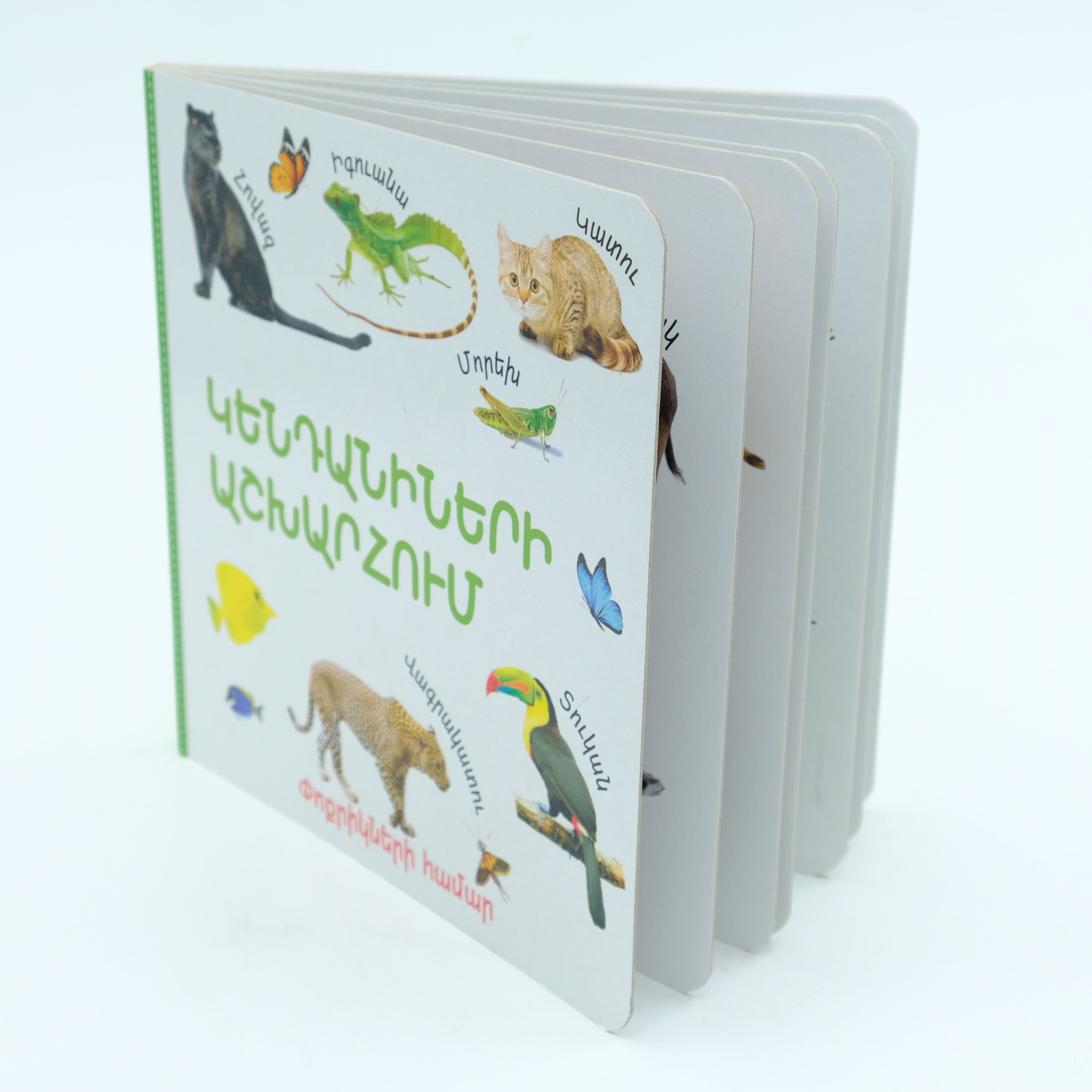 The World of Animals (board book)