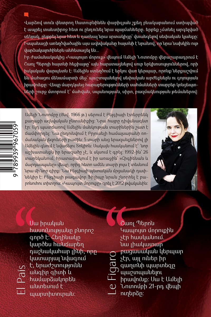 Amelie Nothomb - Blue Beard