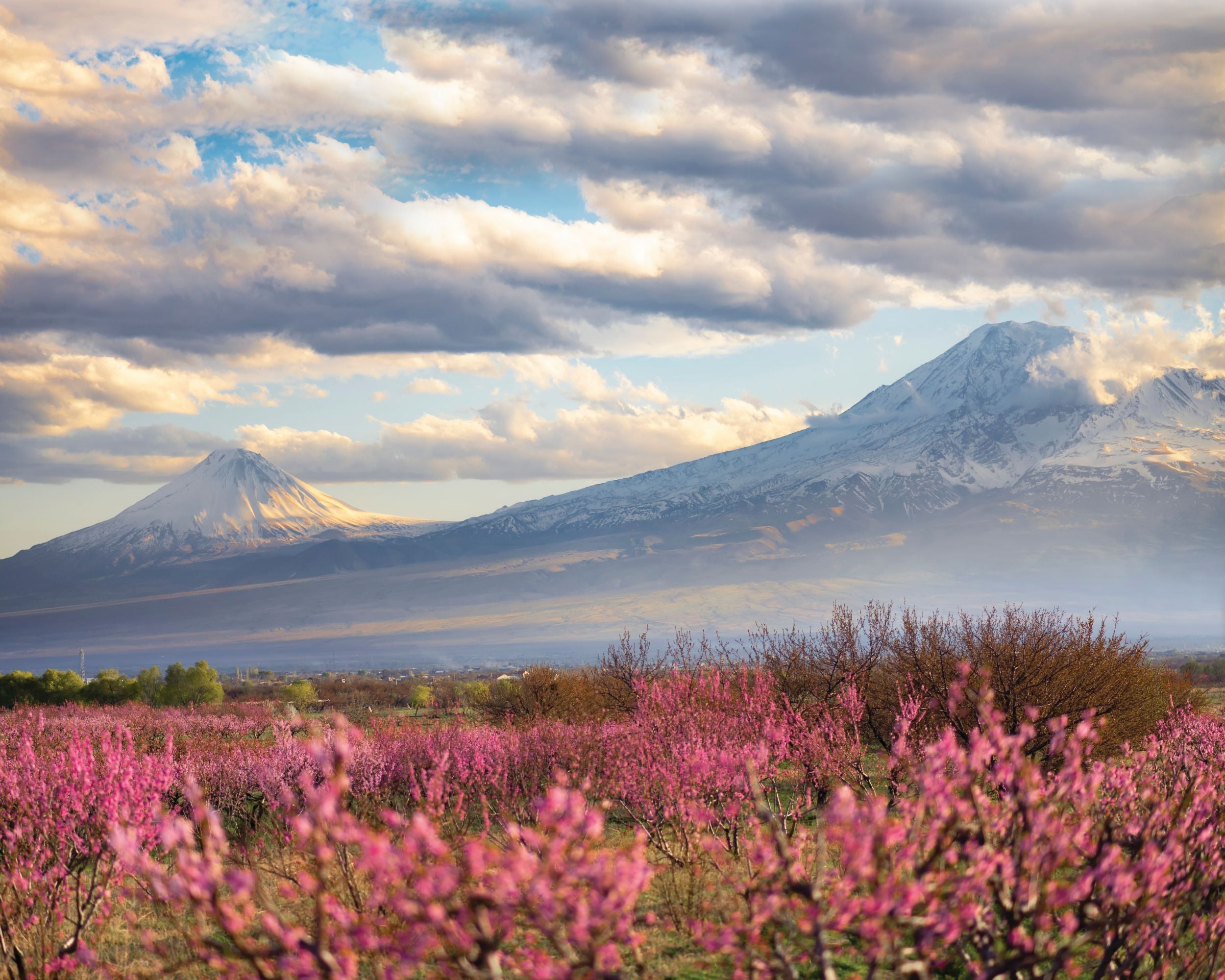 Color by Number on Canvas - Masis and Sis