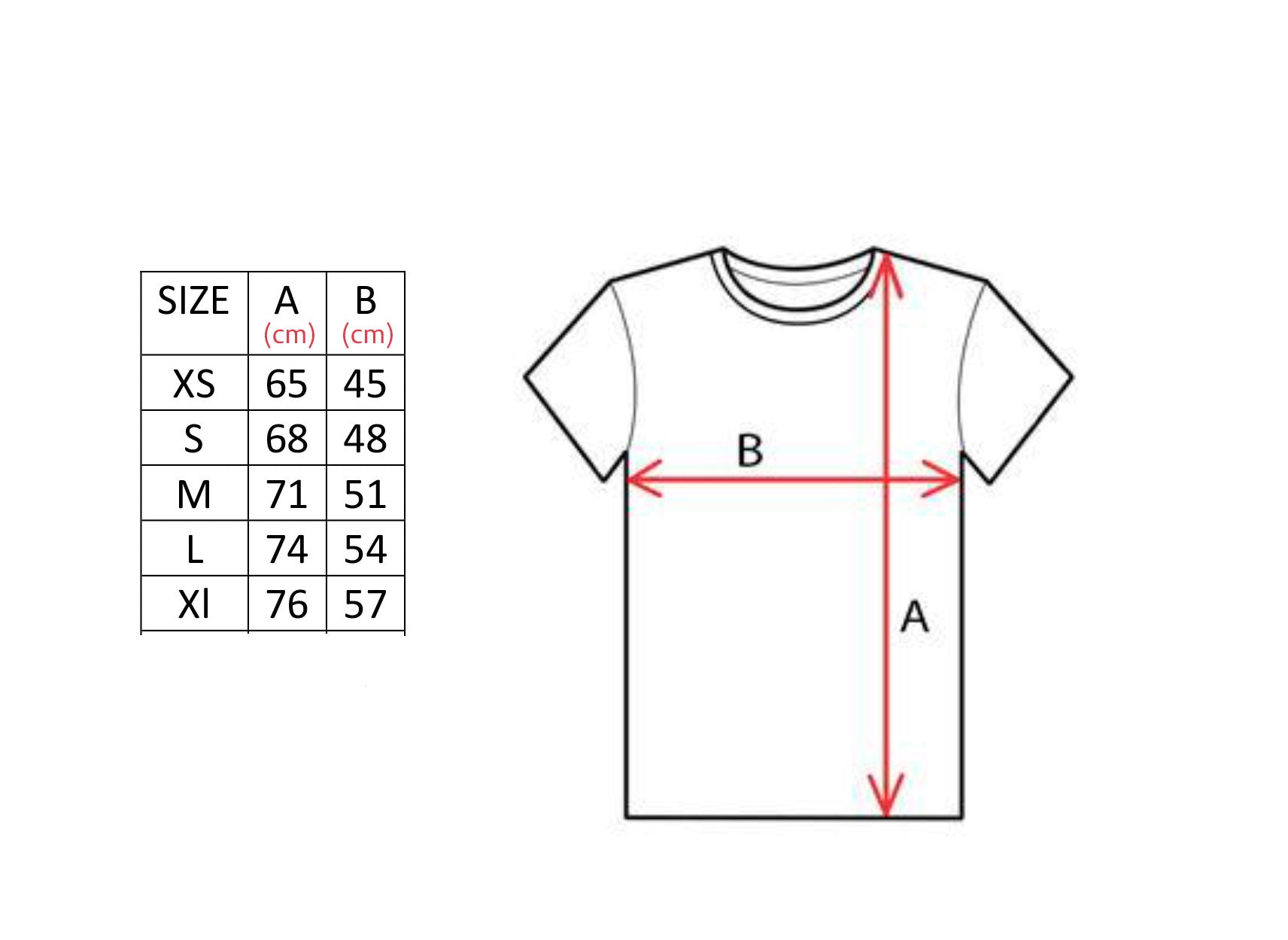 Armenian Coat of Arms T-Shirt White