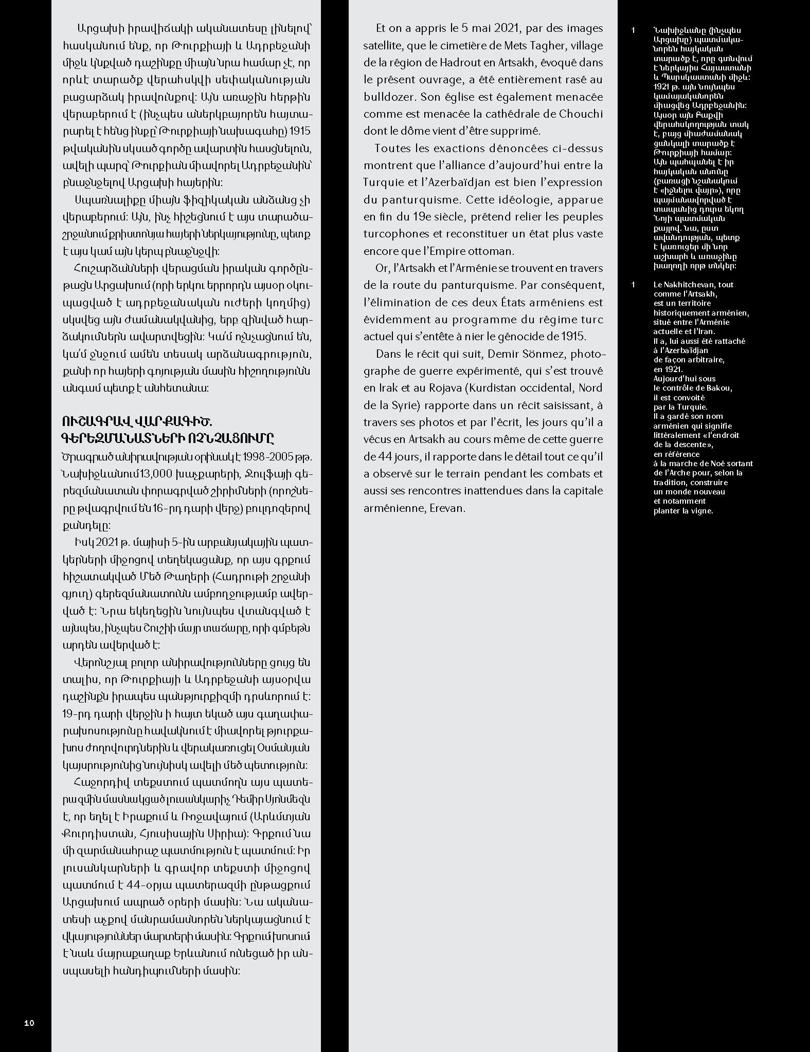 Demir Sönmez – The Wounded Eagle