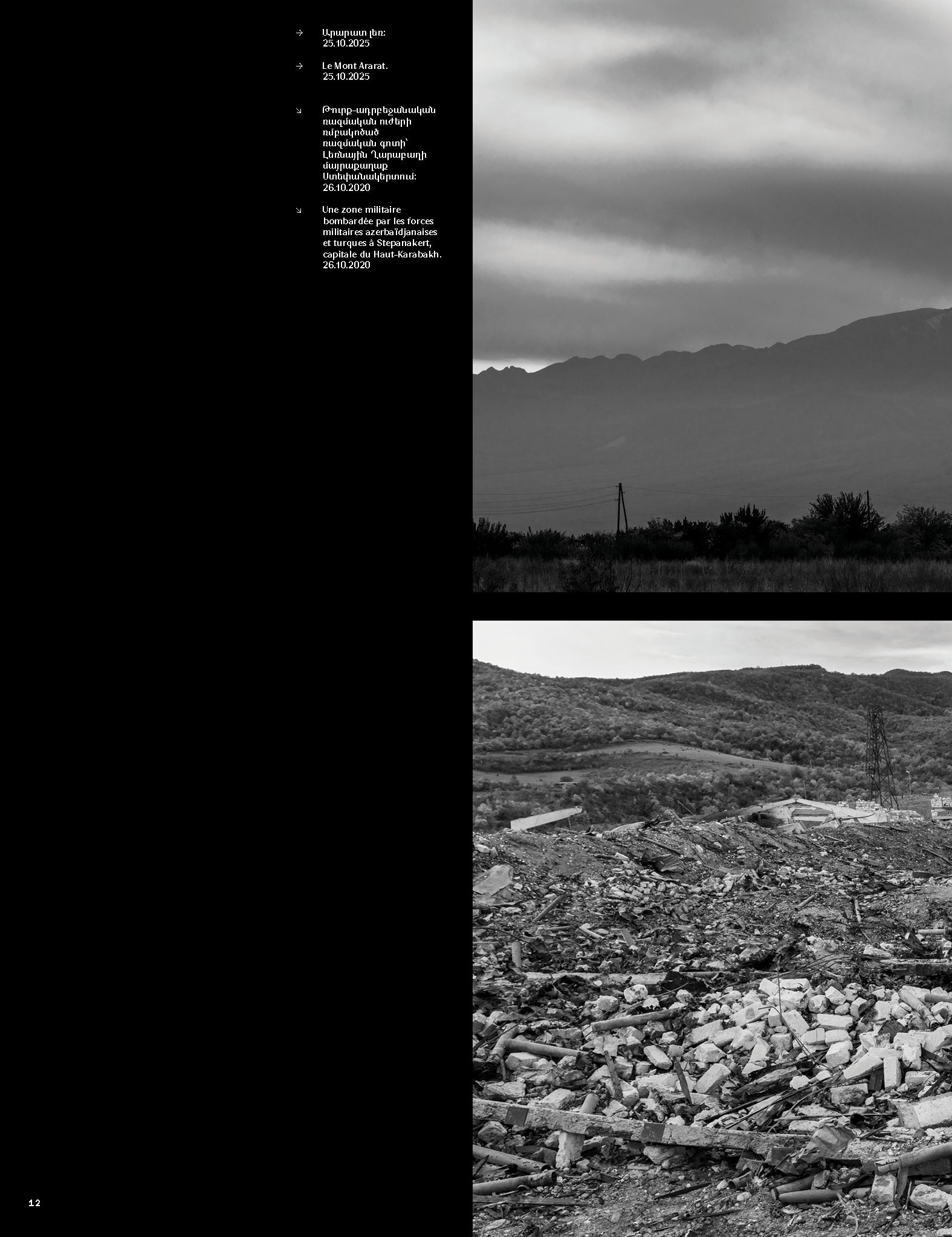 Demir Sönmez – The Wounded Eagle