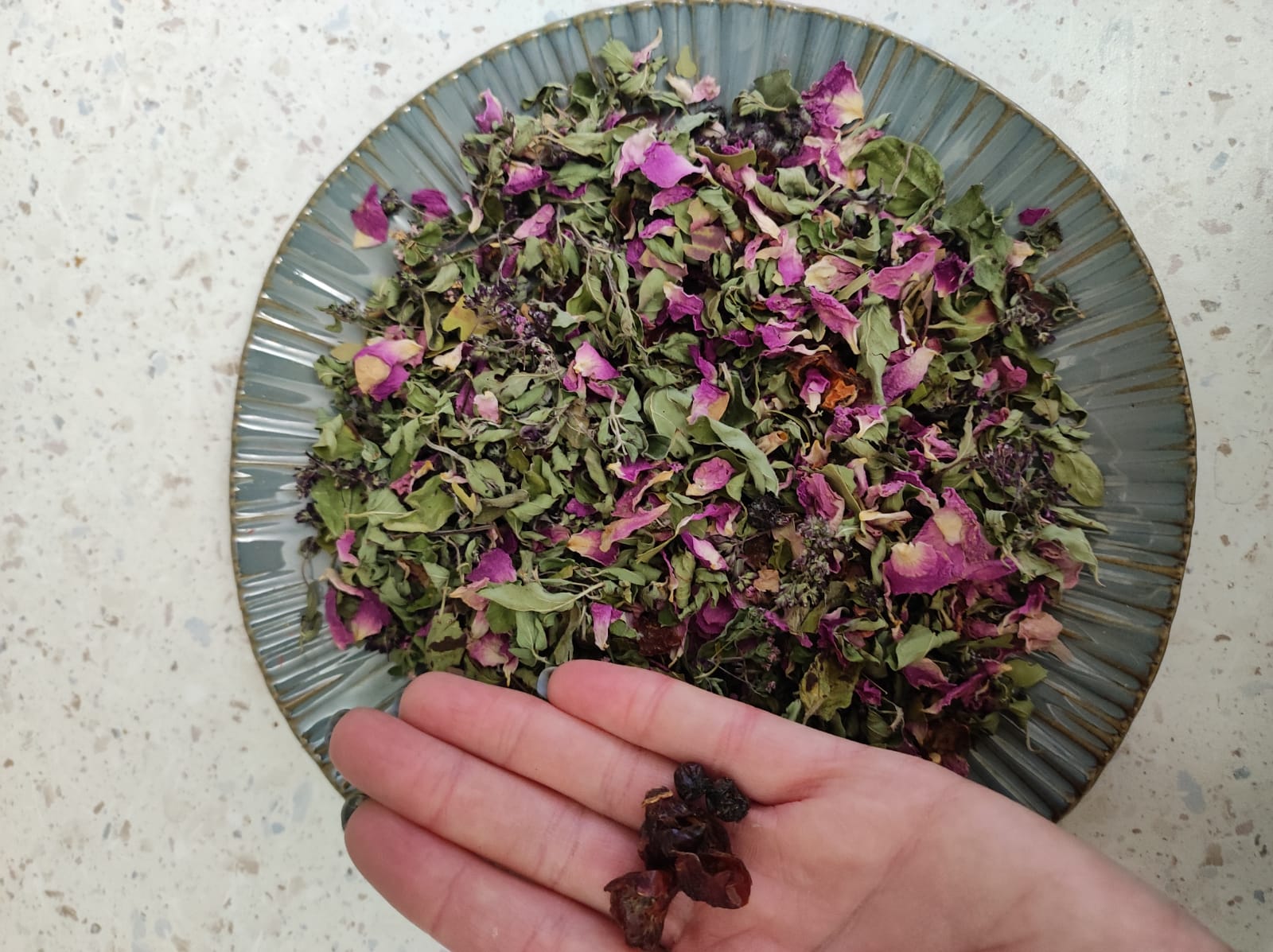 Darman Tea No17 - Mountain Breeze (Black Currant Fruits and Leaves, Rosehip, Rose Petals, Oregano)